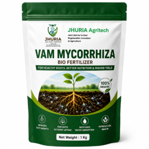 VAM Mycorrhiza Bio Fertilizer