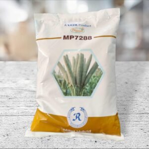 Hybrid Bajra Seeds MP7288